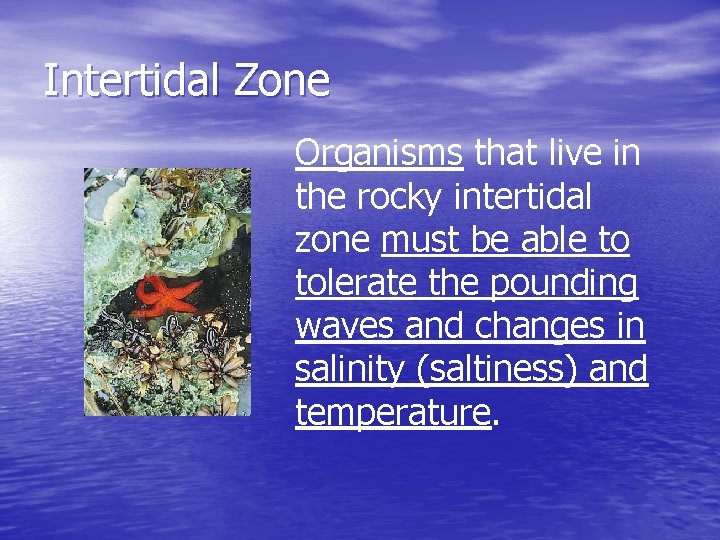 Intertidal Zone Organisms that live in the rocky intertidal zone must be able to