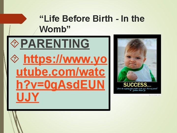 “Life Before Birth - In the Womb” PARENTING https: //www. yo utube. com/watc h?