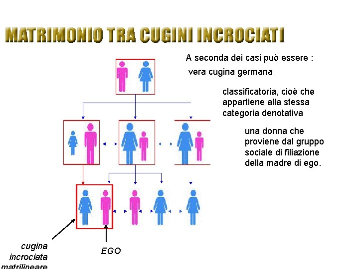 A seconda dei casi può essere : vera cugina germana classificatoria, cioè che appartiene