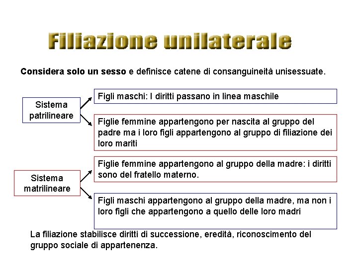 Considera solo un sesso e definisce catene di consanguineità unisessuate. Sistema patrilineare Sistema matrilineare