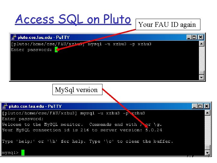 Access SQL on Pluto Your FAU ID again My. Sql version PHP 7 