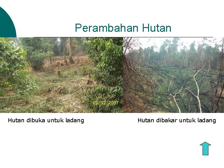 Perambahan Hutan dibuka untuk ladang Hutan dibakar untuk ladang 