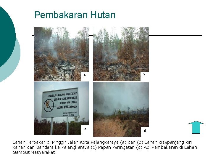 Pembakaran Hutan a b c d Lahan Terbakar di Pinggir Jalan Kota Palangkaraya (a)