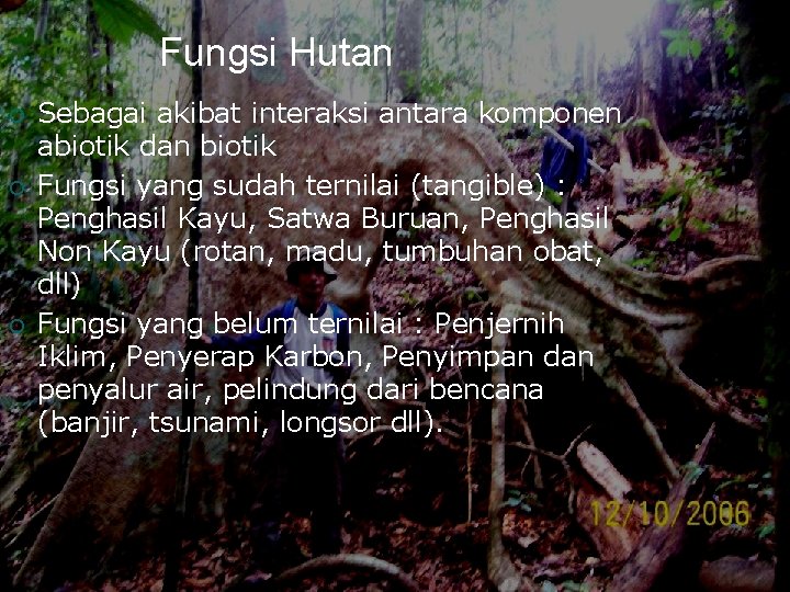 Fungsi Hutan ¡ ¡ ¡ Sebagai akibat interaksi antara komponen abiotik dan biotik Fungsi