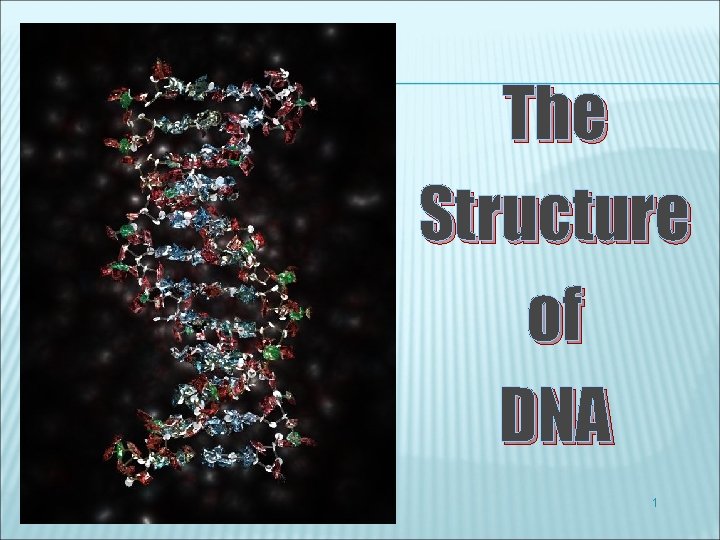 The Structure of DNA 1 