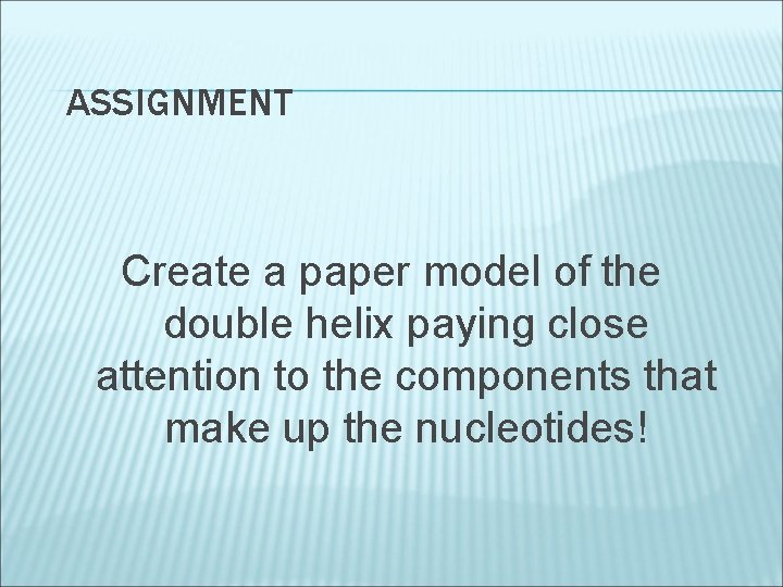 ASSIGNMENT Create a paper model of the double helix paying close attention to the
