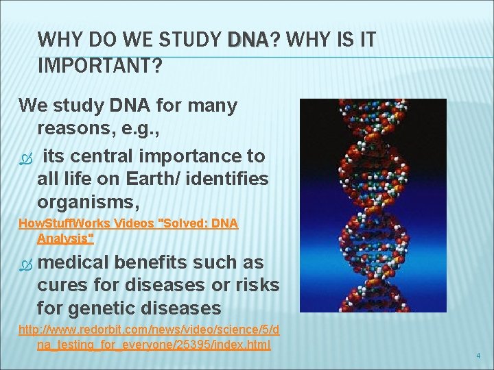 WHY DO WE STUDY DNA? DNA WHY IS IT IMPORTANT? We study DNA for