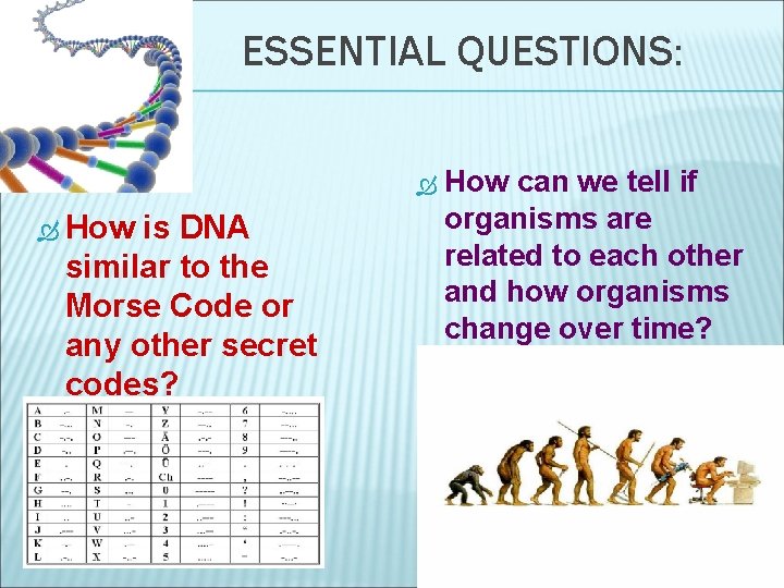 ESSENTIAL QUESTIONS: How is DNA similar to the Morse Code or any other secret