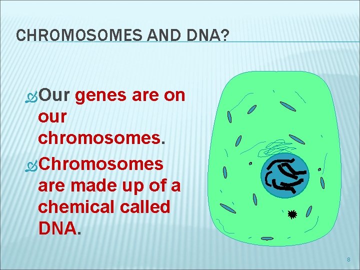 CHROMOSOMES AND DNA? Our genes are on our chromosomes. Chromosomes are made up of
