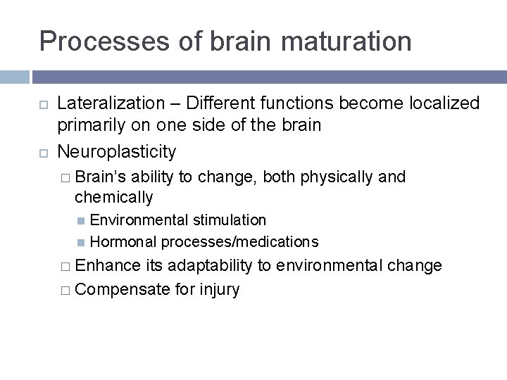 Processes of brain maturation Lateralization – Different functions become localized primarily on one side Processes of brain maturation Lateralization – Different functions become localized primarily on one side