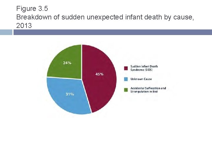 Figure 3. 5 Breakdown of sudden unexpected infant death by cause, 2013 Figure 3. 5 Breakdown of sudden unexpected infant death by cause, 2013