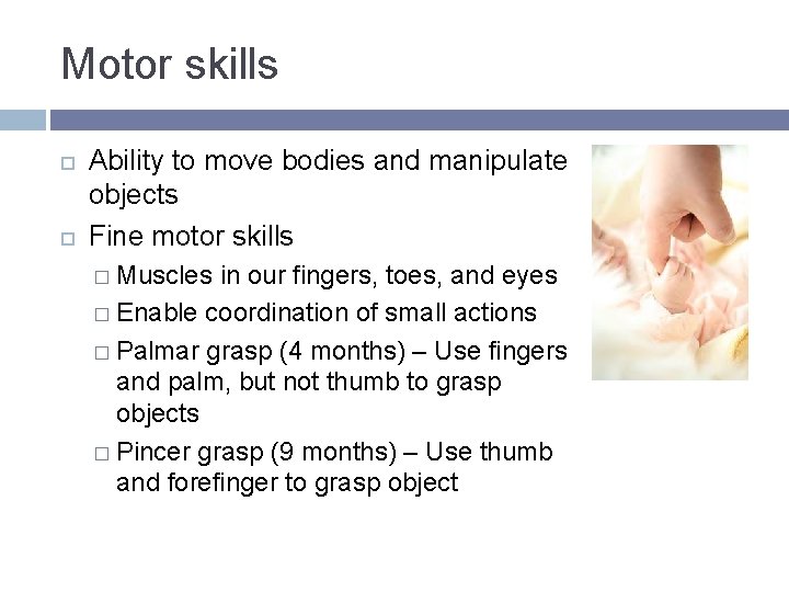 Motor skills Ability to move bodies and manipulate objects Fine motor skills � Muscles Motor skills Ability to move bodies and manipulate objects Fine motor skills � Muscles