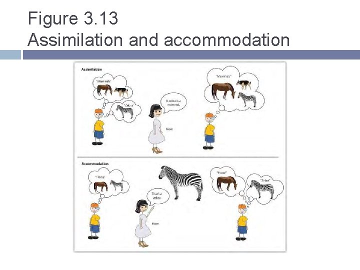 Figure 3. 13 Assimilation and accommodation Figure 3. 13 Assimilation and accommodation