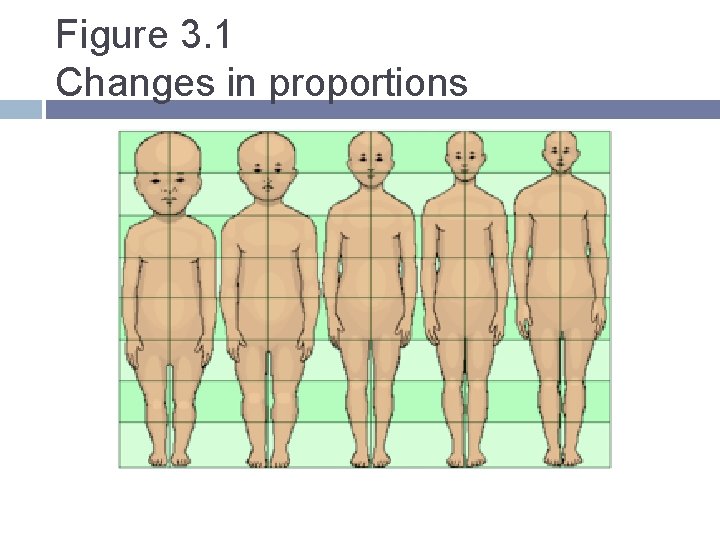 Figure 3. 1 Changes in proportions Figure 3. 1 Changes in proportions