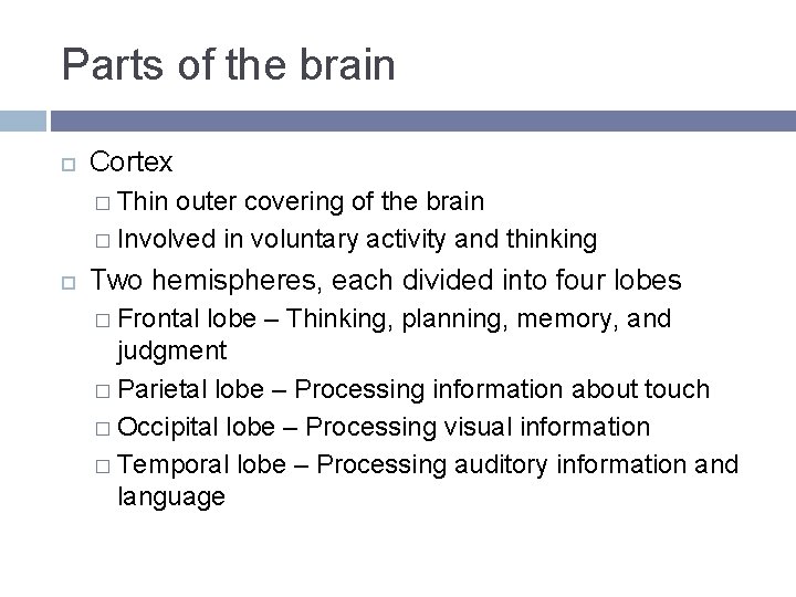 Parts of the brain Cortex � Thin outer covering of the brain � Involved Parts of the brain Cortex � Thin outer covering of the brain � Involved