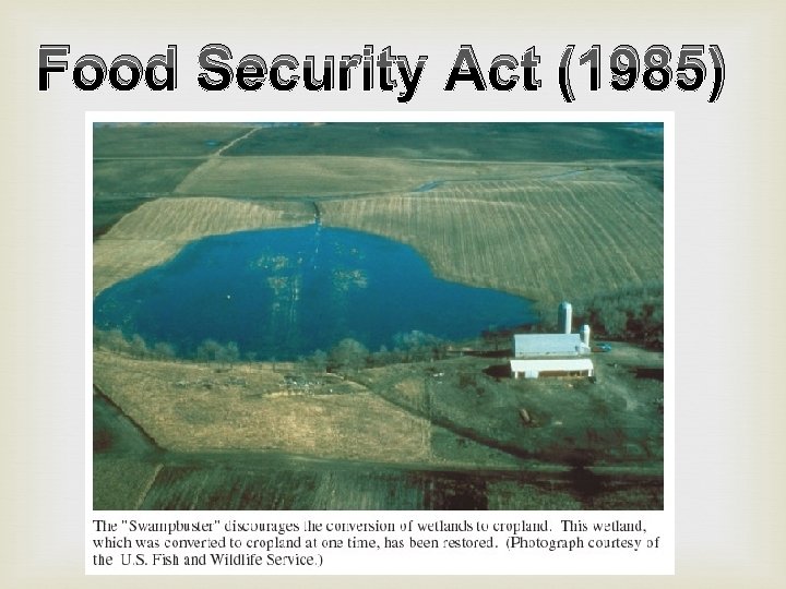 Food Security Act (1985) 