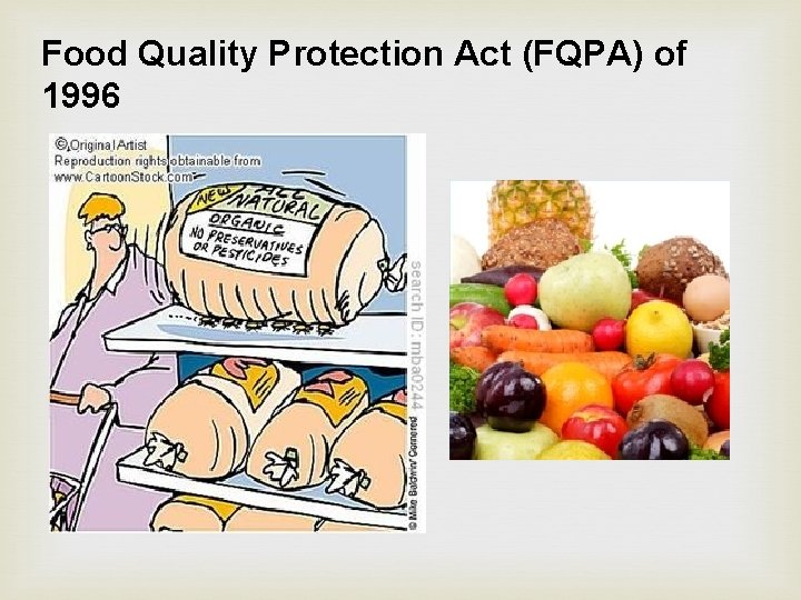 Food Quality Protection Act (FQPA) of 1996 