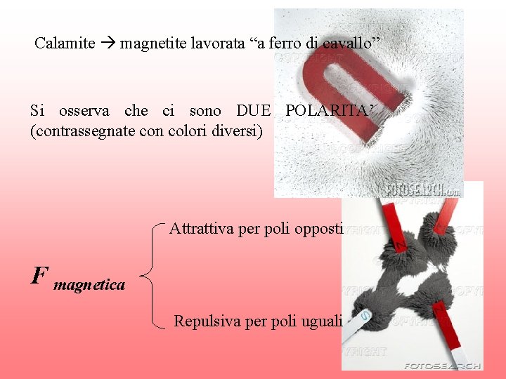 Calamite magnetite lavorata “a ferro di cavallo” Si osserva che ci sono DUE POLARITA’