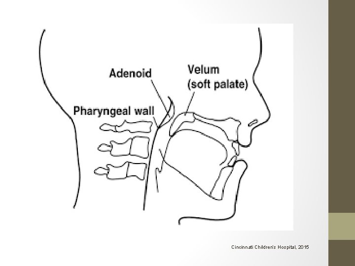 Cincinnati Children’s Hospital, 2015 Cincinnati Children’s Hospital, 2015
