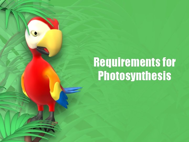 Requirements for Photosynthesis 