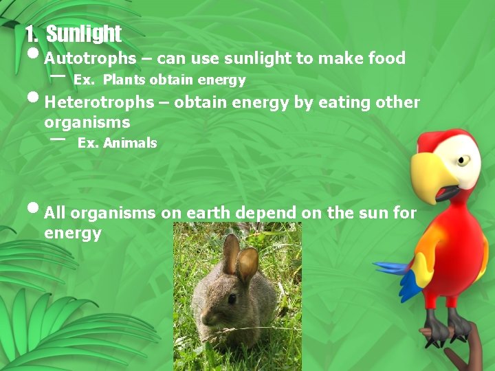 1. Sunlight • Autotrophs – can use sunlight to make food – Ex. Plants