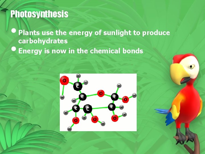 Photosynthesis • Plants use the energy of sunlight to produce carbohydrates • Energy is