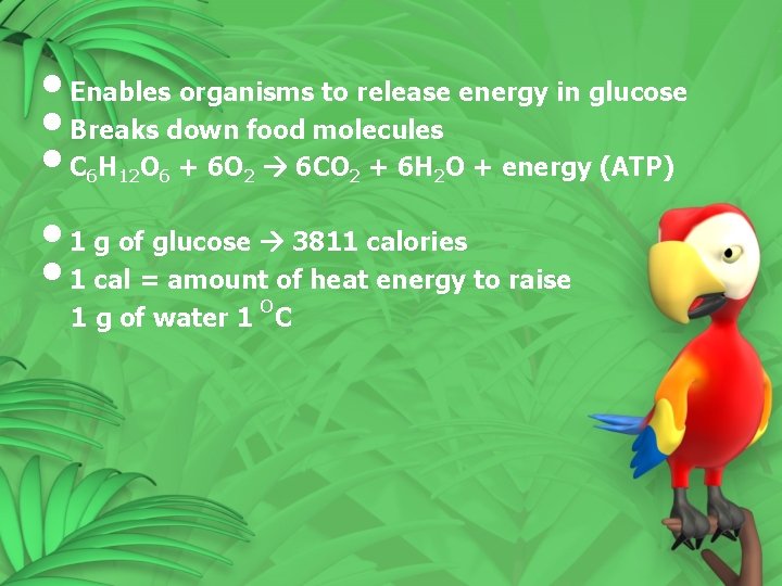  • Enables organisms to release energy in glucose • Breaks down food molecules