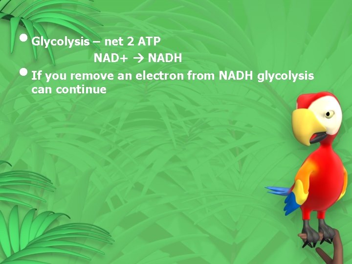  • Glycolysis – net 2 ATP NAD+ NADH • If you remove an