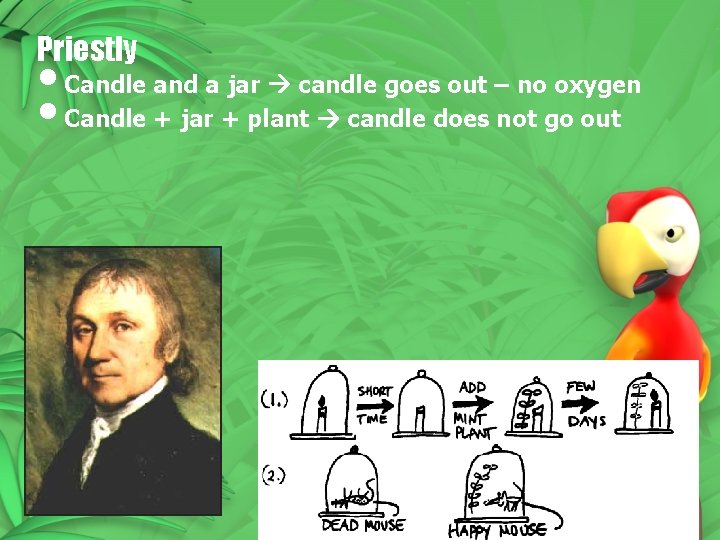 Priestly • Candle and a jar candle goes out – no oxygen • Candle