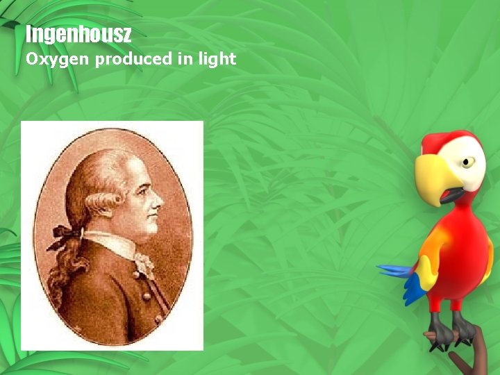 Ingenhousz Oxygen produced in light 