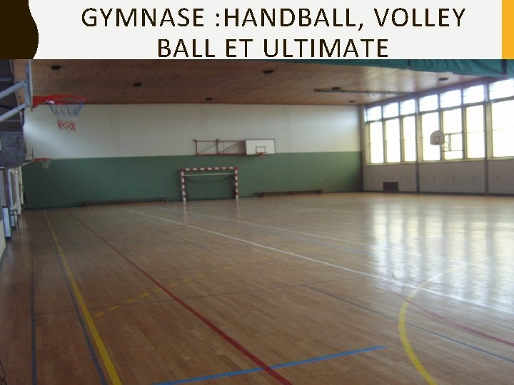 GYMNASE : HANDBALL, VOLLEY BALL ET ULTIMATE 