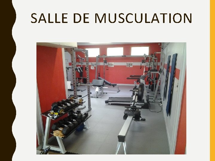 SALLE DE MUSCULATION 