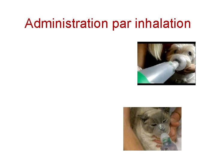 Administration par inhalation 