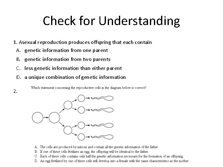 Check for Understanding 1. Asexual reproduction produces offspring that each contain A. genetic information