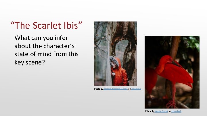 “The Scarlet Ibis” What can you infer about the character’s state of mind from