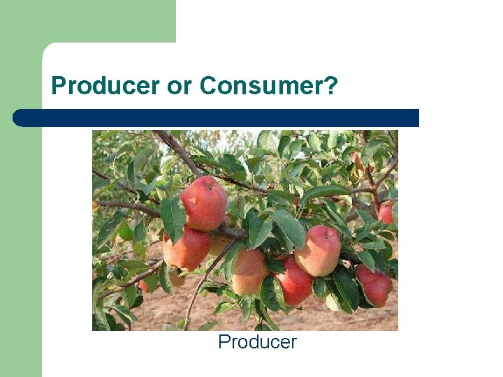 Producer or Consumer? Producer 