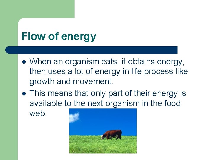 Flow of energy l l When an organism eats, it obtains energy, then uses