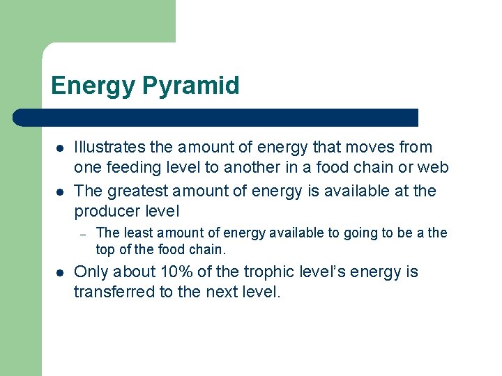 Energy Pyramid l l Illustrates the amount of energy that moves from one feeding