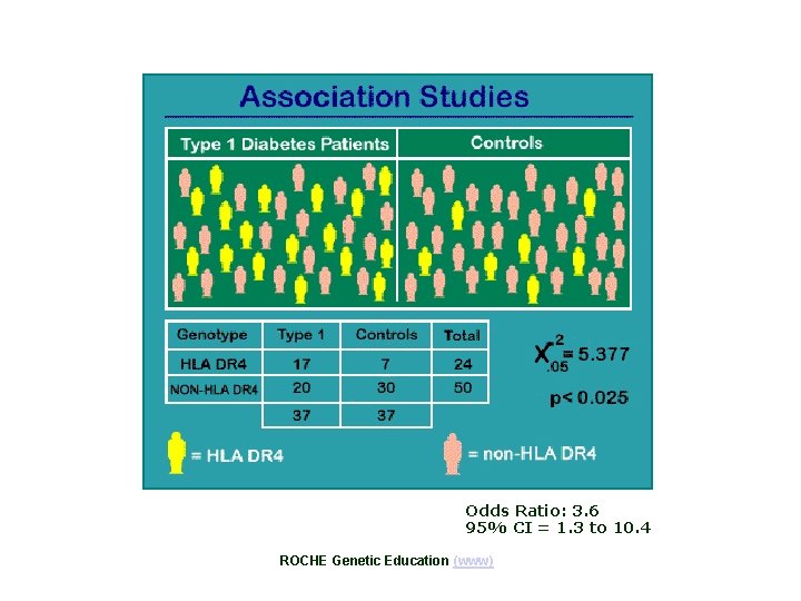 Odds Ratio: 3. 6 95% CI = 1. 3 to 10. 4 ROCHE Genetic