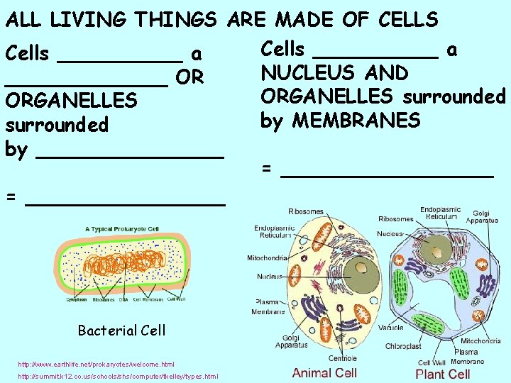 ALL LIVING THINGS ARE MADE OF CELLS Cells __________ a NUCLEUS AND _______ OR