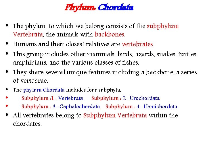 Phylum: Chordata • • The phylum to which we belong consists of the subphylum