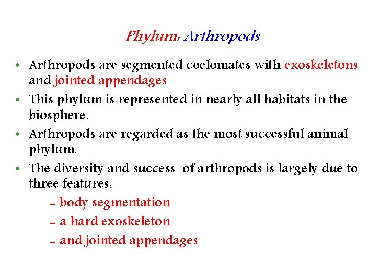 Phylum: Arthropods • Arthropods are segmented coelomates with exoskeletons and jointed appendages • This