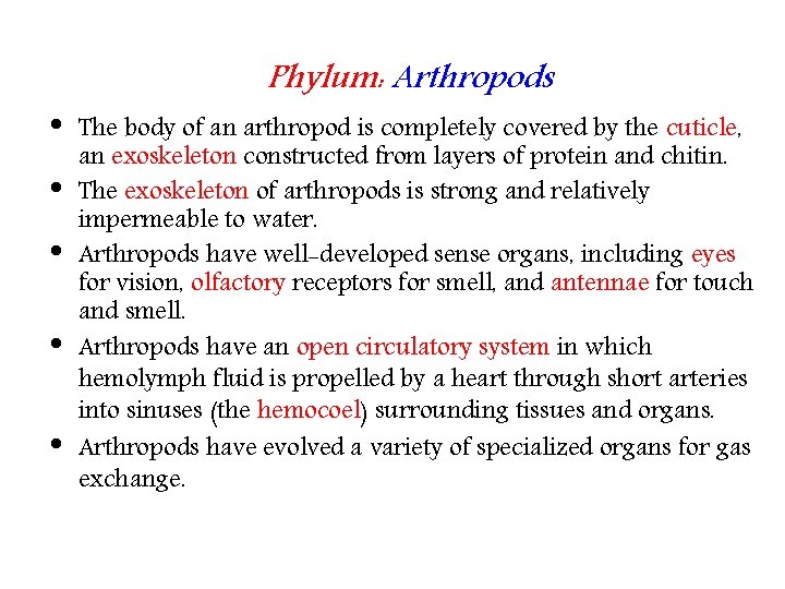  • • • Phylum: Arthropods The body of an arthropod is completely covered