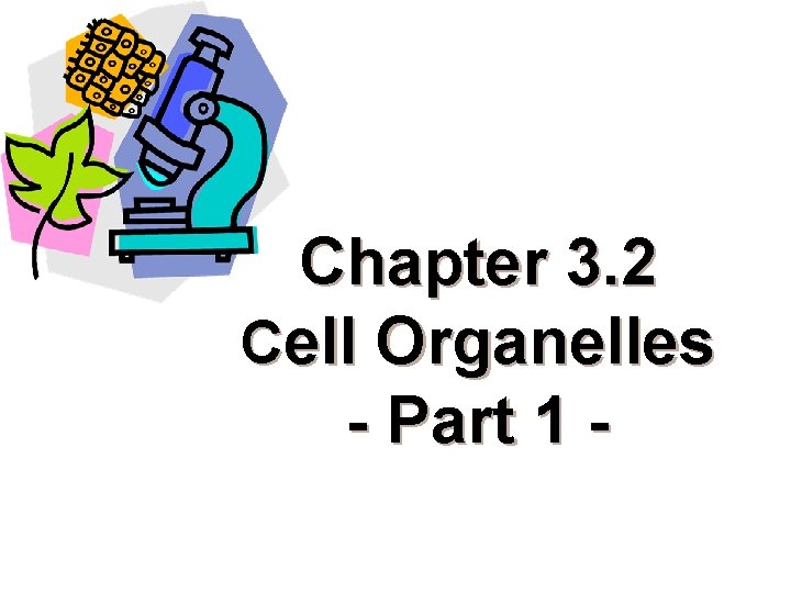 Chapter 3. 2 Cell Organelles - Part 1 - 