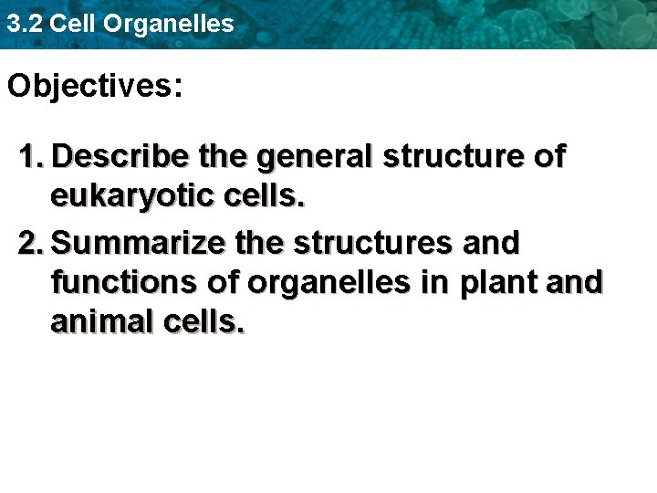 3. 2 Cell Organelles Objectives: 1. Describe the general structure of eukaryotic cells. 2.