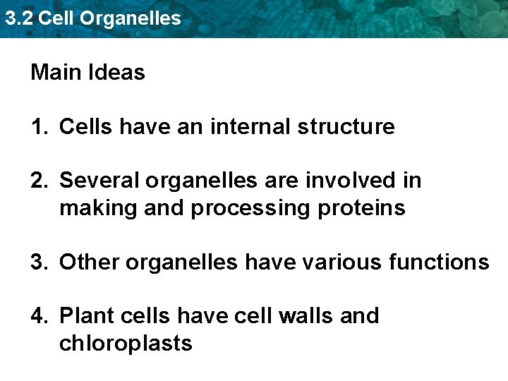 3. 2 Cell Organelles Main Ideas 1. Cells have an internal structure 2. Several