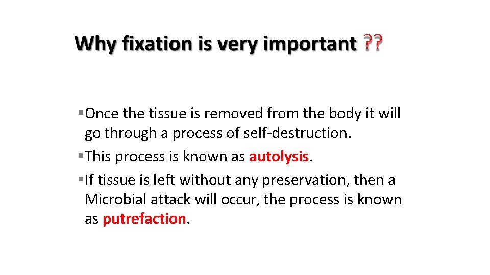 ? ? Once the tissue is removed from the body it will go through