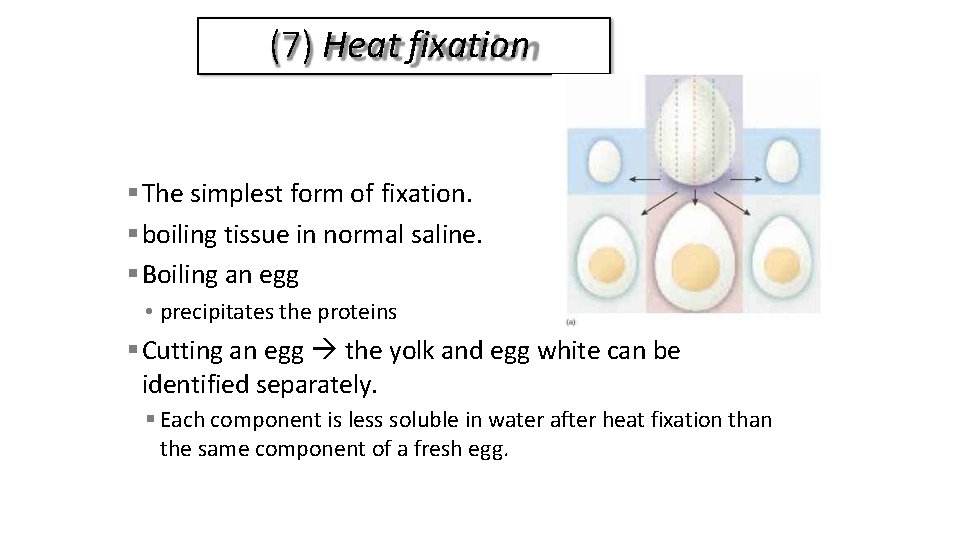 (7) Heat fixation The simplest form of fixation. boiling tissue in normal saline. Boiling
