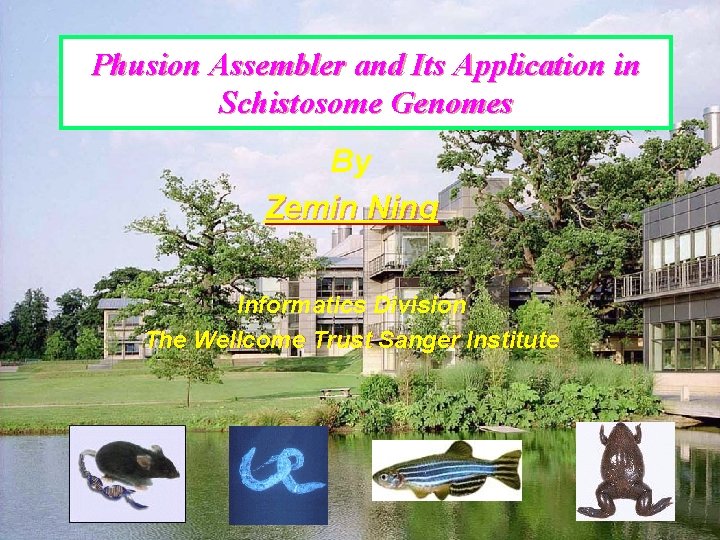 Phusion Assembler and Its Application in Schistosome Genomes By Zemin Ning Informatics Division The