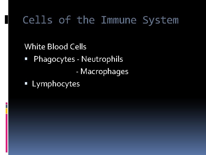 Cells of the Immune System White Blood Cells Phagocytes - Neutrophils - Macrophages Lymphocytes